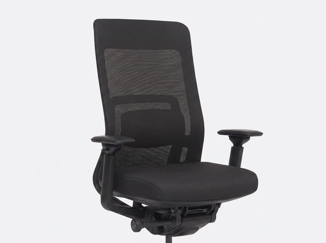 Ergonomische bureaustoel Pure OS1 — Rug en lendensteun